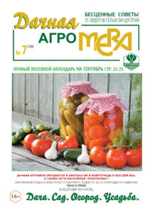Дачная Агромера август