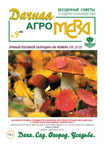 Дачная Агромера_октябрь_ОБЛОЖКА