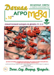 Обложка ноябрь
