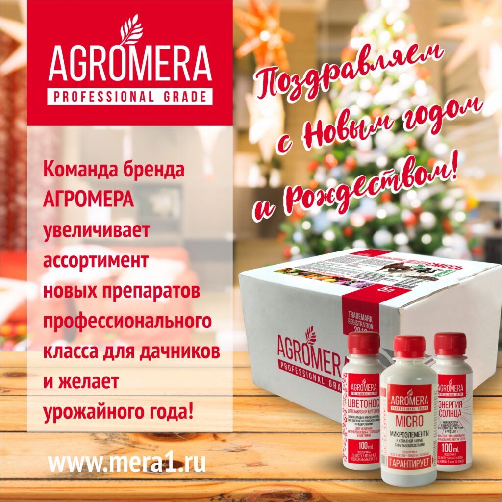 «Цветы и Город 2019» итоги ключевого события «зеленой